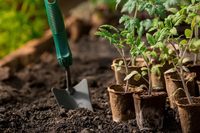 Pots de pépinière de tourbe carrés de jardin extérieur biodégradables pour la germination des graines d'herbes et la pépinière de plantes