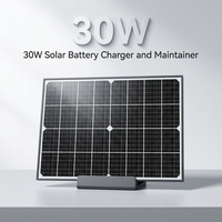 Panneau solaire monocristallin PERC HJT 30W avec cadre en aluminium, batterie solaire 12V pour véhicule marin, ferme, caméra de sécurité