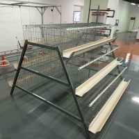 Système de cages en acier galvanisé durable de type A pour l'élevage de poulets et la production d'œufs