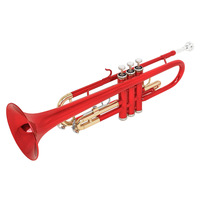 Brass Instrument Trumpet in B Flat Brass Tube Color Gold Keys for Beginners to Practice Professional Trumpet Playing