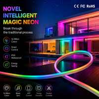 Bande lumineuse néon en cuivre personnalisée, télécommande, application intelligente, décoration extérieure, étanche IP65, 5 m, 5 V, LED flexible RGB, garantie de 2 ans