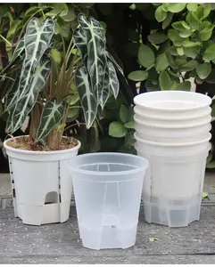أحواض بلاستيكية شفافة صافية بسعر الجملة أنظمة زراعة مائية أحواض نضارة النباتات للحدائق
