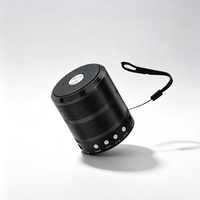 Mini haut-parleur portable avec cordon, haut-parleur sans fil pour la maison, les voyages, le vélo, les fêtes et les activités de plein air