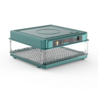 Incubateur automatique de petite taille à 10 capacités pour l'éclosion