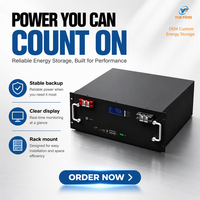 Armoire de stockage d'énergie sur rack 19 pouces personnalisée, boîtier en tôle ESS pour pack de batteries LiFePO4 51,2 V 100 Ah 200 Ah