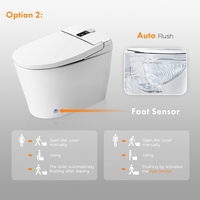 Cuvette de toilette automatique toilette intelligente toilette siphonique chasse d'eau intelligente bidet de toilette