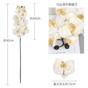 Orquídeas Phalaenopsis Artificiales, Ramo de Seda de 30cm-100cm, Alta Simulación, Decoración para Hogar y Bodas - Product Image 4