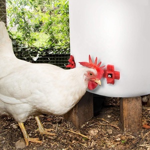 <span class=keywords><strong>Bebedero</strong></span> <span class=keywords><strong>de</strong></span> pollo montado en agua, <span class=keywords><strong>bebedero</strong></span> automático para aves <span class=keywords><strong>de</strong></span> corral, <span class=keywords><strong>bebedero</strong></span> <span class=keywords><strong>de</strong></span> codorniz - Product Image 3