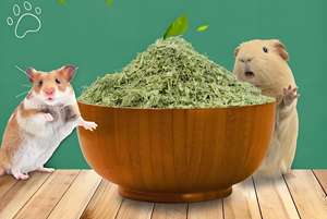 100% טבעי alfalfffa (medicago sativa) צמח מיובש | איכות הקולינרי & שימוש בריאות - Product Image 2