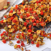 Fleurs d'Albizia Julibrissin en gros, livraison gratuite, approvisionnement direct, nouveaux produits, séchées au soleil, 500g en vrac, herbes pour tisane