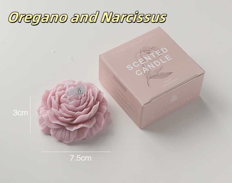 Morandi Rosa/Orégano y Narciso
