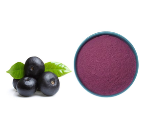 Complément alimentaire en poudre de baies d'açai lyophilisées - Product Image 4