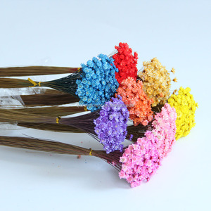 20 pièces de fleurs naturelles éternelles colorées, boules dorées de Craspedia, bouquet pour décoration de mariage - Product Image 3