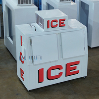 Conteneur de stockage pour glaçons avec capacité de 200 sacs, en vente, pour glaçons ensachés en extérieur, glacière, congélateur
