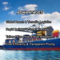 Service de logistique rapide et bon marché Expédition maritime vers l'Algérie, la Libye, la Tunisie et le Maroc depuis la Chine FCL LCL Transitaire