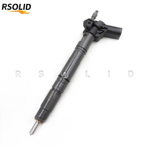 Inyector de Combustible Diésel Common Rail Rsoliddiesel 0445116034 para CDBA, CDCA, CAAA, CAAB, CAAD, CAAE, CAAC, Inyector para Transporter - Product Image 5