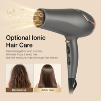 Sèche-cheveux électrique professionnel 2200W à moteur DC ionique, 2 vitesses, avec concentrateur et diffuseur pour salon et usage domestique