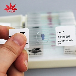 25 Pcs Giáo Dục Sản Phẩm Chuyên Nghiệp Y Tế Nghiên Cứu Động Vật Slide Kính Hiển Vi Trượt - Product Image 2