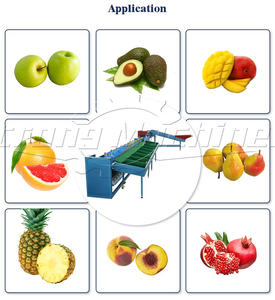 Machine de classement automatique de fruits et légumes pour usine de transformation de fruits SUS 304 matériel multifonctionnel prix de vente bon marché - Product Image 6