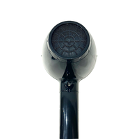 2500W Salon professionnel Sèche-cheveux Moteur à courant alternatif haute vitesse Diffuseur puissant et fonctions de séchage Utilisation domestique et hôtelière Meilleur prix