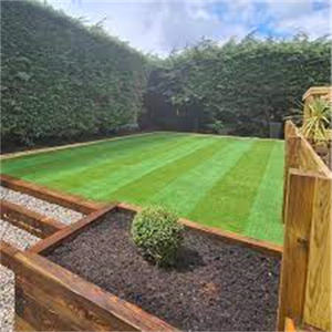 Construction & Real Estate Colle liquide pour pelouse pour l'installation de gazon artificiel dans les gymnases - Product Image 6