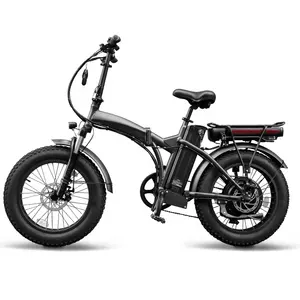 Smart 20 Inch Fat Tire Tyre Off Road Automatic Electric Bicycle 500 750 1000 Watt Dual Lithium Battery City Ebike