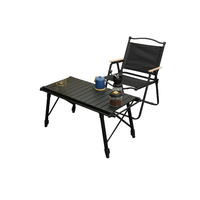 Table d'extérieur en aluminium au design moderne, pliable, portable, avec système de levage, pour pique-nique, barbecue, camping et parcs