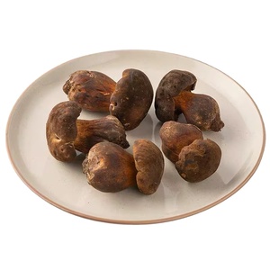 Hongo salvaje <span class=keywords><strong>fresco</strong></span> salvaje de alta calidad Detan Porcini Yunnan Wild <span class=keywords><strong>Boletus</strong></span> con <span class=keywords><strong>precio</strong></span> al por mayor - Product Image 1