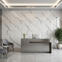 Panneau décoratif moderne en bois WPC avec placage de bambou et cristal de carbone pour salle de conférence