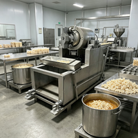 Machine de soufflage de céréales industrielle robuste à haut rendement pour l'usine de transformation de matières premières pour snacks