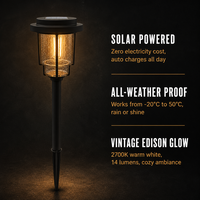 Lampe solaire d'extérieur pour allée, avec capuchon en métal noir, ampoule Edison, 14 lumens, pour jardin et allée