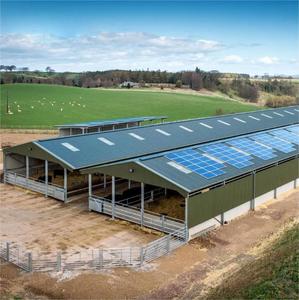Establo Prefabricado para Vacas Lecheras a Bajo <span class=keywords><strong>Precio</strong></span>, Construcción de Granjas para Ganado - Product Image 5