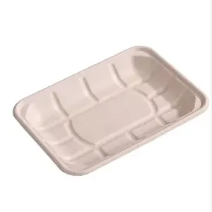 Eco friendly 9 inch Disposable compostable bagasse tray Biodegradable Pulp food fruit container paper plate