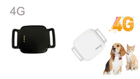 GPS 4g longue veille Minimum mini 4G localisateur d'animaux gps tracker fabrication
