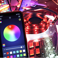 Twinklight 24V 3535 Lampu Strip LED Neon Fleksibel RGB DIY Kontrol Aplikasi Pintar & USB Dapat Diredupkan untuk Kamar Tidur & Lanskap PVC