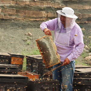 Miel al por mayor de marca privada con panal, miel de <span class=keywords><strong>jalea</strong></span> <span class=keywords><strong>real</strong></span> pura <span class=keywords><strong>premium</strong></span> a granel, miel dulce natural de Delee Foods Group - Product Image 5