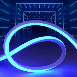 ヒーターsk9822ip67シリコンチューブLEDストリップシリコンストリップ柔軟な防水LEDストリップシリコンカバー - Product Image 4