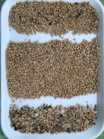 Fabrieksdirecte verkoop multi-channel kleursorteermachine, optische separator voor graan, noten, zaden & gedroogd fruit