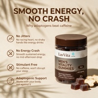 Gummies Vitalité Homme LuvVita avec Maca & Ashwagandha – Soutien Naturel Énergie & Endurance, Soulagement du Stress, Complément Herbal