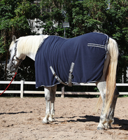 Couverture d'hiver de luxe personnalisée pour chevaux, tapis d'écurie bleu, doublure en nylon pour courses hippiques, vente en gros
