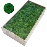 Yunnan Groothandel Kleurrijk Geconserveerd Mos 500 G/doos Voor Huistuin Wanddecoratie Geconserveerde Bloemen En Planten