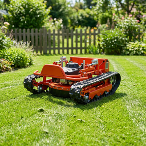 Tondeuse à gazon télécommandée à moteur essence haute puissance, <span class=keywords><strong>prix</strong></span> compétitif pour les jardins agricoles et domestiques - Product Image 2