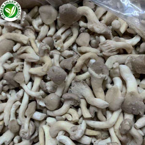 เห็ดนางรมแช่แข็ง20*40มม. สำหรับผู้ซื้อ - Product Image 5