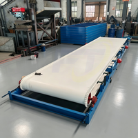 Laveuse automatique de tapis pour la récupération des minerais de minerai de tungstène, de tantale et de niobium, et des déchets miniers d'or (0208)