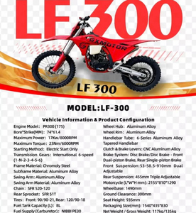 GX-LF-300 Moto tout-terrain à essence 300cc NIBBI PE30, monocylindre 4 <span class=keywords><strong>temps</strong></span>, refroidissement par eau, arbre d'équilibrage, en promotion - Product Image 4