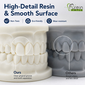 Modelo de Demostración Anatómico de Implante Dental de Tamaño Real, Personalizable, Material de Enseñanza de Ciencias Médicas, Directo de Fábrica, OEM - Product Image 3
