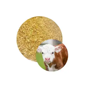 Competitive Price Yellow Corn Animal Feed Corn Gluten Feed 18%