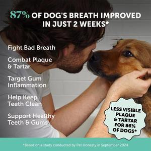 Polvo Dental <span class=keywords><strong>para</strong></span> <span class=keywords><strong>Perros</strong></span> y Gatos OEM/ODM, Cuidado Bucal, Refrescante, Soporte Inmunológico Natural, Eliminador de Sarro y Placa con Frutas - Product Image 3