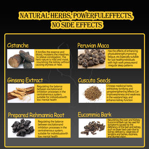 ยาเม็ดทองคำสูตรเพิ่มพลังงานและสมรรถภาพสำหรับผู้ใหญ่ ยาสมุนไพรจีนพรีเมียมสำหรับผู้ชาย ยอดขายดี - Product Image 3