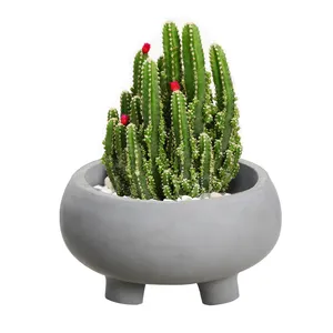 Custom Cement Flower Pot Garden Use Round Grey Indoor Outdoor Three Feet Cement Succulent Planter Concrete Flower Pot